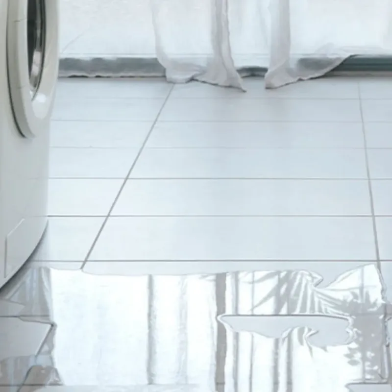 Appliance Leak Cleanup in Grove, OK